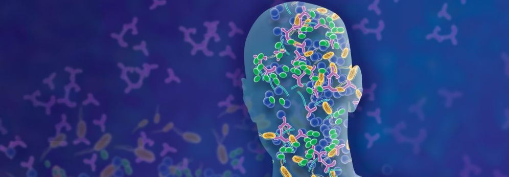 Materiale didattico – Intestino secondo cervello: il microbiota lo stile di vita e le metafore